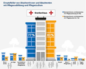 Einsatzfelder von Absolventinnen und Absolventen mit Pflegeausbildung und Pflegestudium