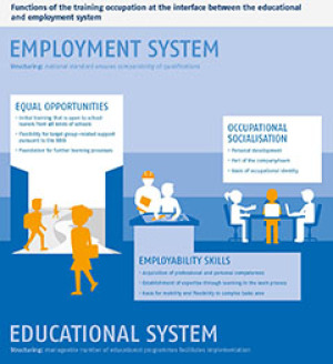 Functions of the training occupation at the interface between the educational and employment system