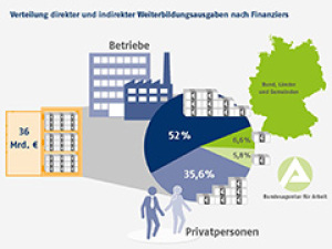 Verteilung direkter und indirekter Weiterbildungsausgaben nach Finanziers