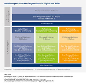 Ausbildungsstruktur Mediengestalter/-in Digital und Print