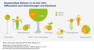 Infografik: Neuabschlüsse Gärtner/-in im Jahr 2023, differenziert nach Fachrichtungen und Geschlecht